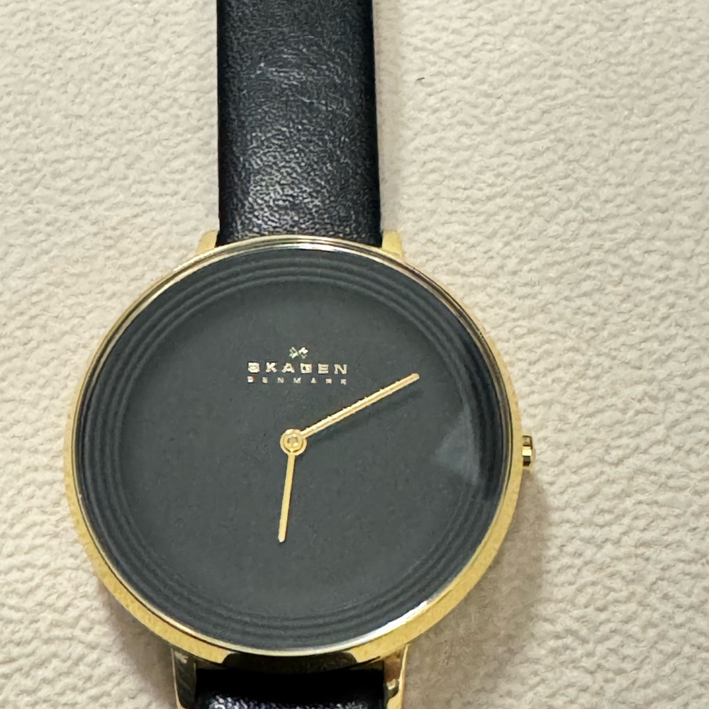 Skagen Gold and Black Leather Watch